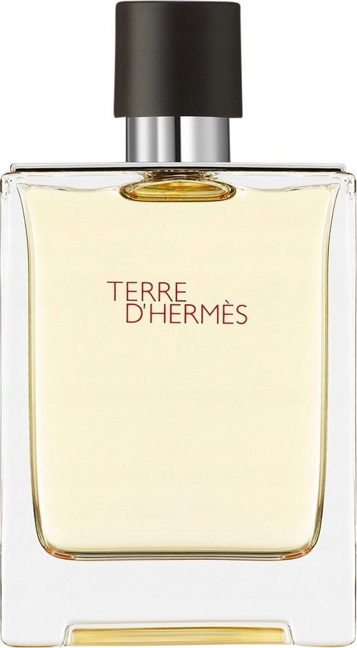 Hermes Terre D'hermes Eau De Toilette Purškiklis 100ml