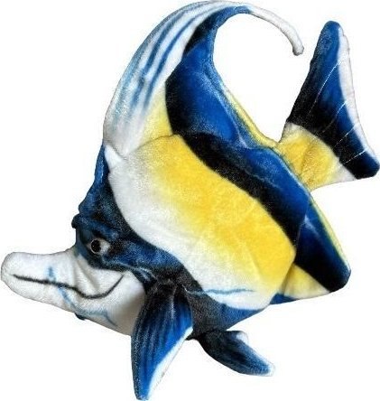 Ryba morska Skalar 35cm