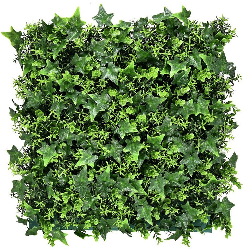 PANEL ZIELENI ROSA 50X50 CM OGRÓD WERTYKALNY