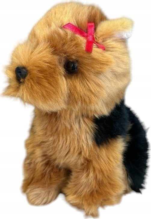 Pies yorkshire terrier 19cm 32072