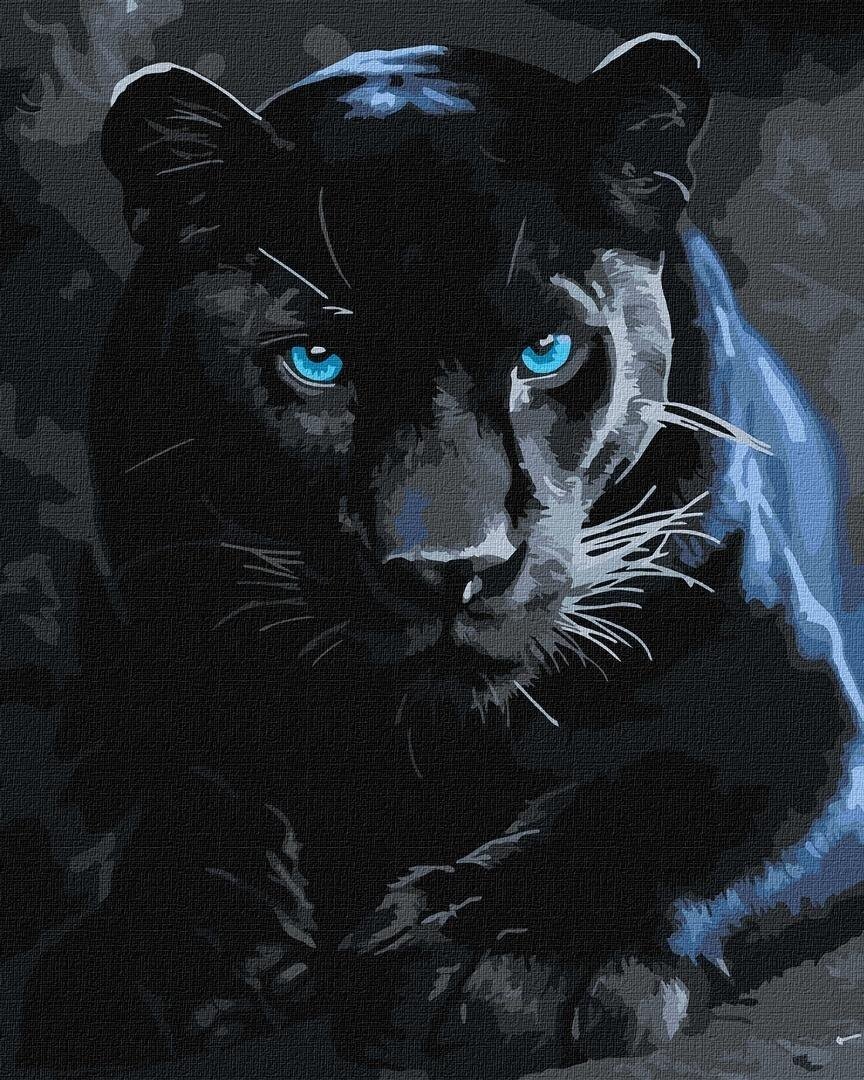 Malowanie po numerach - Dzika pantera 40x50cm