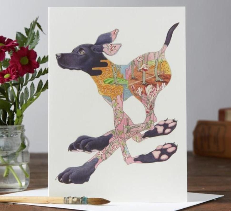 DM Collection Karnet A025 B6 + koperta Czarny labrador