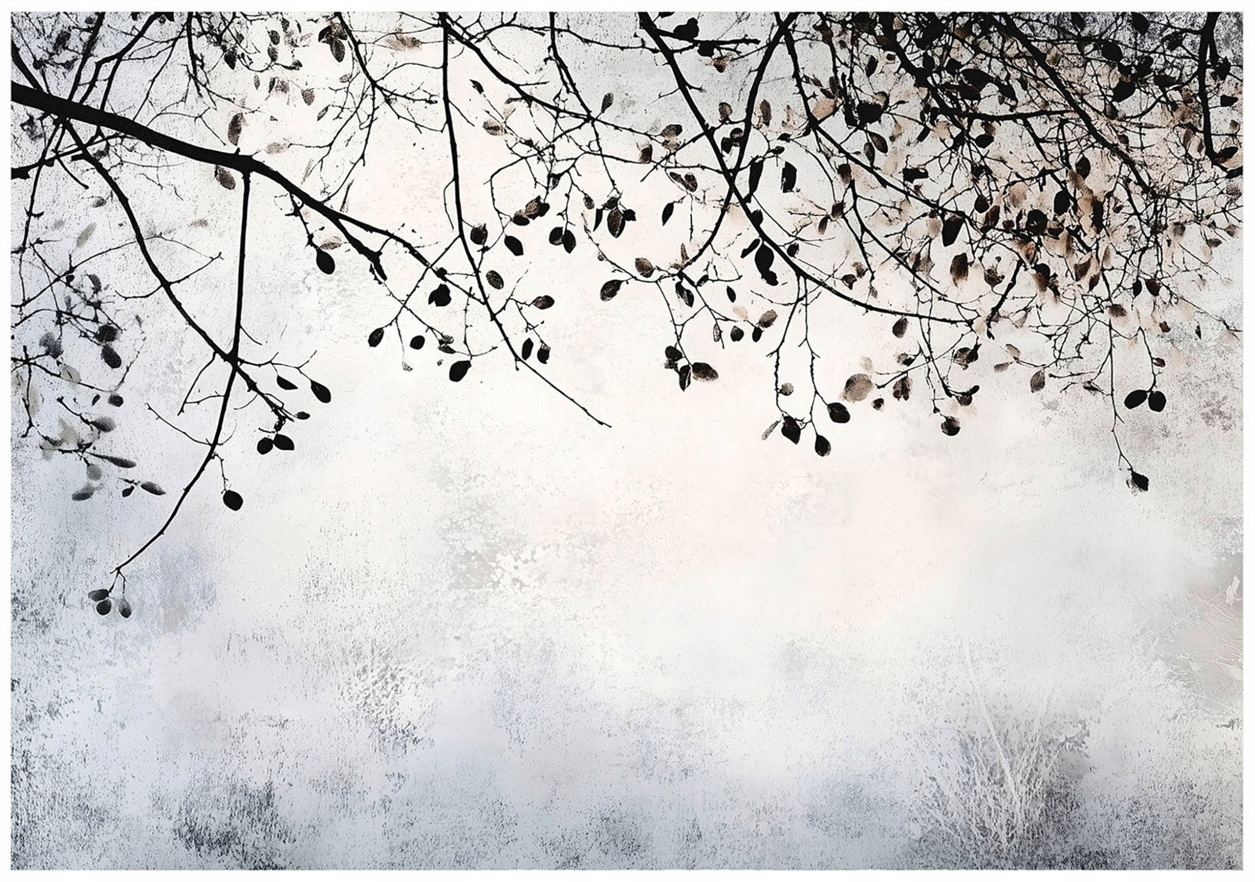 FOTOTAPETA GAŁĄZKI BETON DRZEWO SYPIALNIA SALON TAPETA FLIZELINA 300x210