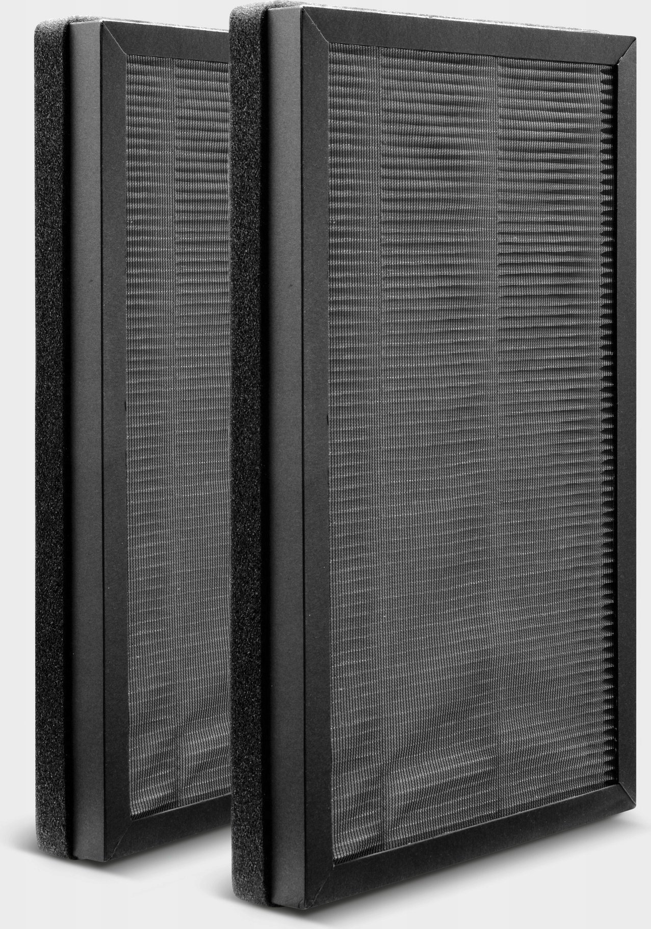 Karcher Filtras AF 20; 2 vnt.