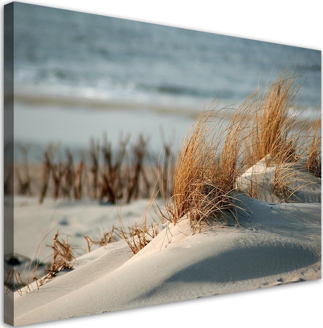 Feeby Obraz na płótnie, Wydmy nad morzem - 120x80