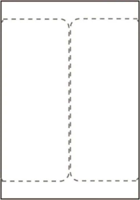 Capture Ship-label 105 x 220mm. For