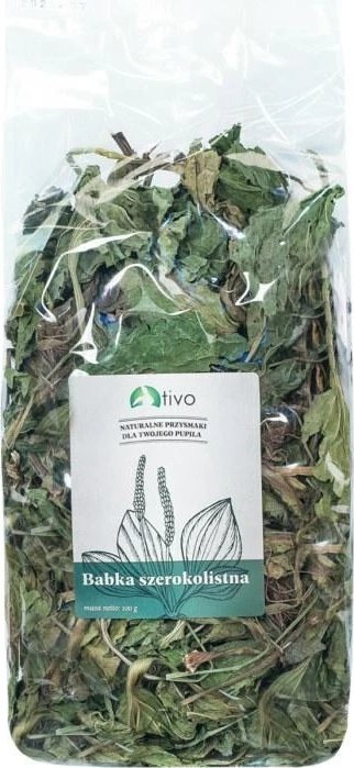 Tivo TIVO BABKA SZEROKOLISTNA 100G 6006