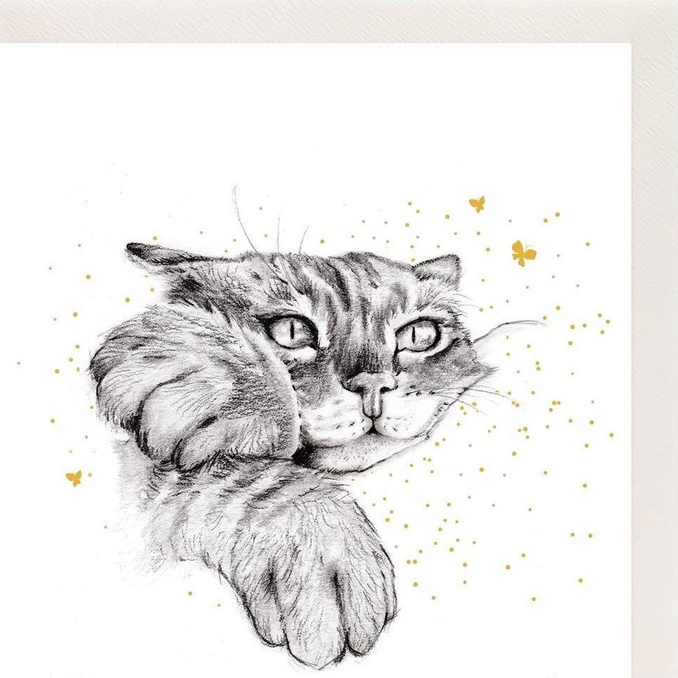 Clear Creation Karnet Złocony kwadrat CL3806_BL Kot