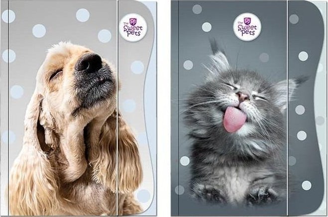 Teczka z gumką A4 The Sweet Pets