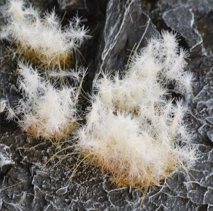 Gamers Grass Gamers Grass: Special tufts - 12 mm - Spikey Winter (Wild)