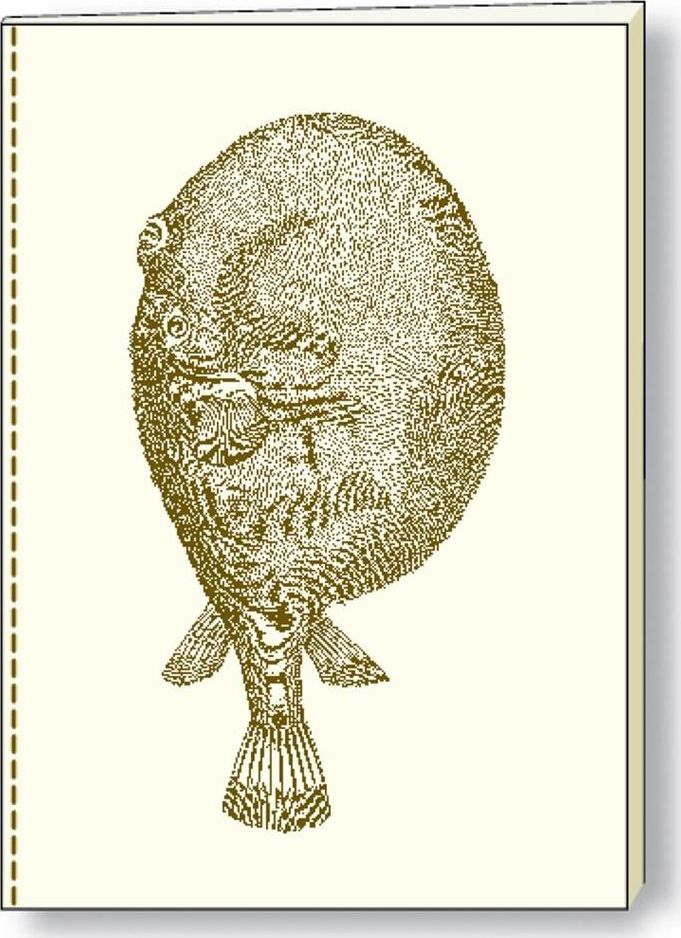 Rossi Notatnik ozdobny A5 BR NB S03 A ROSSI