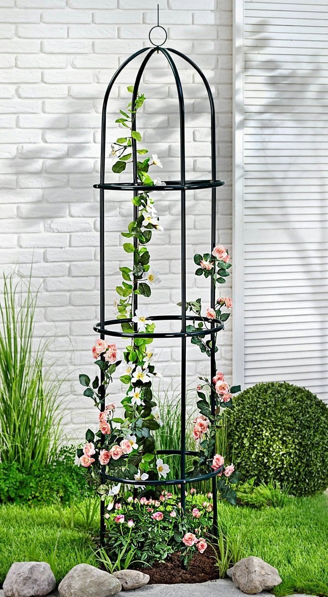 Kinzo KOLUMNA PREGOLA NA RÓŻE KINZO