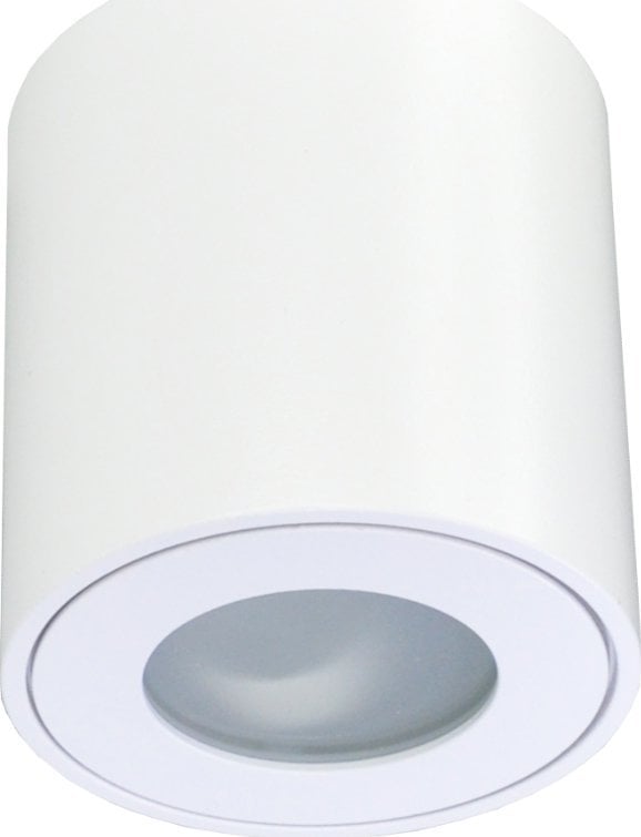 Lampa sufitowa ECOLIGHT2 Eco Light EC79971 spot lampa sufitowa 1x35W GU10 biały