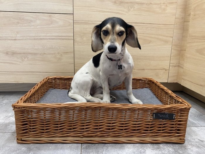 Wnuk Legowisko dla zwierząt (Prostokątne 60 cm)