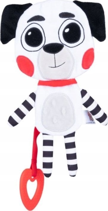 Sun-Day Kontrastowy pies