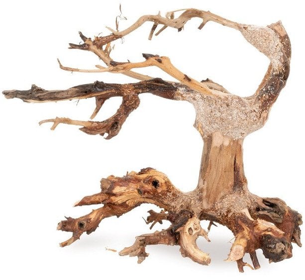 Ton�ce drzewo Bonsai nr nr 24 20x15