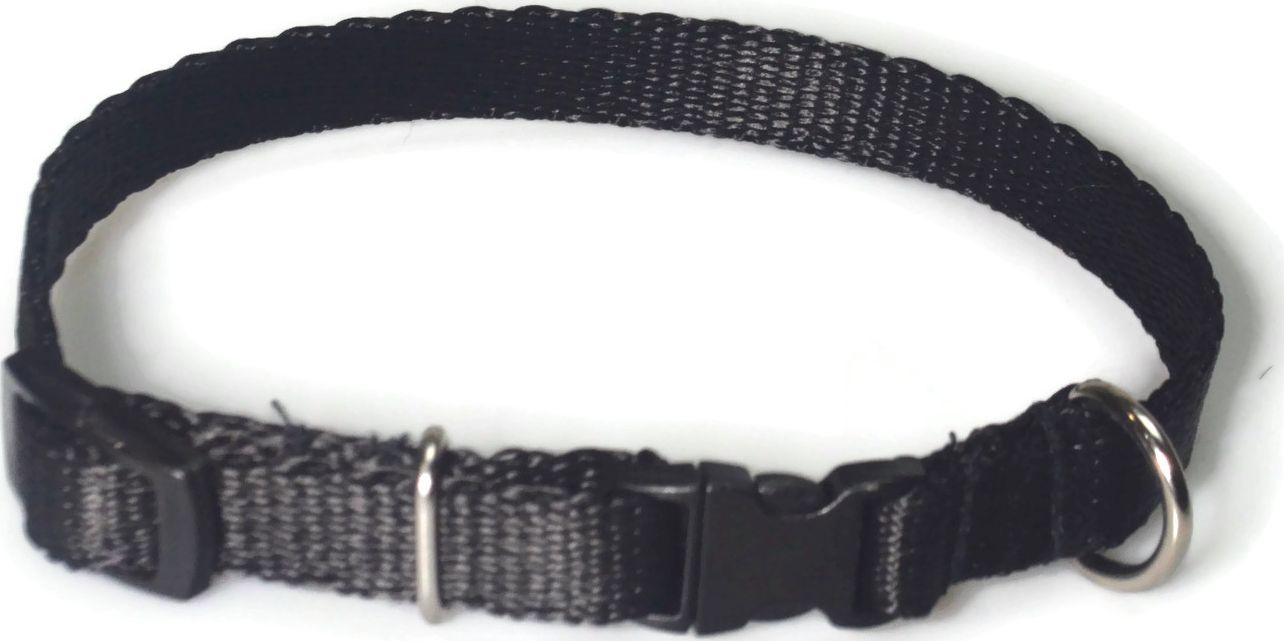 Alizoo Obroża dla małego psa 13mm/21-36cm - ALIZOO