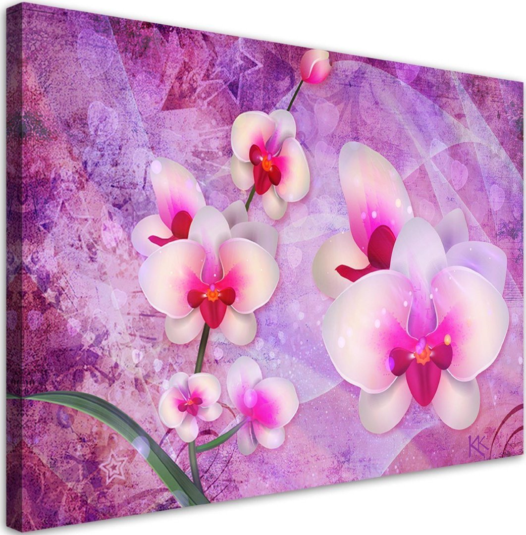 Feeby Obraz na płótnie, Orchidea Kwiaty Abstrakcja - 120x80