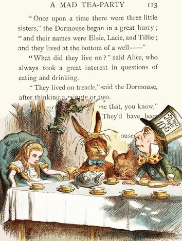 Madame Treacle Karnet B6 z kopertą Alicja w krainie czarów