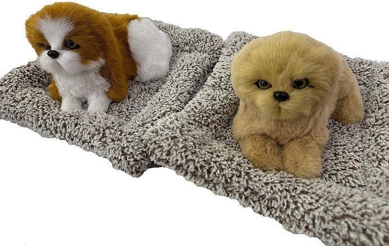 Piesek pluszowy na poduszce z dźwiękiem MIX EDUKAMP