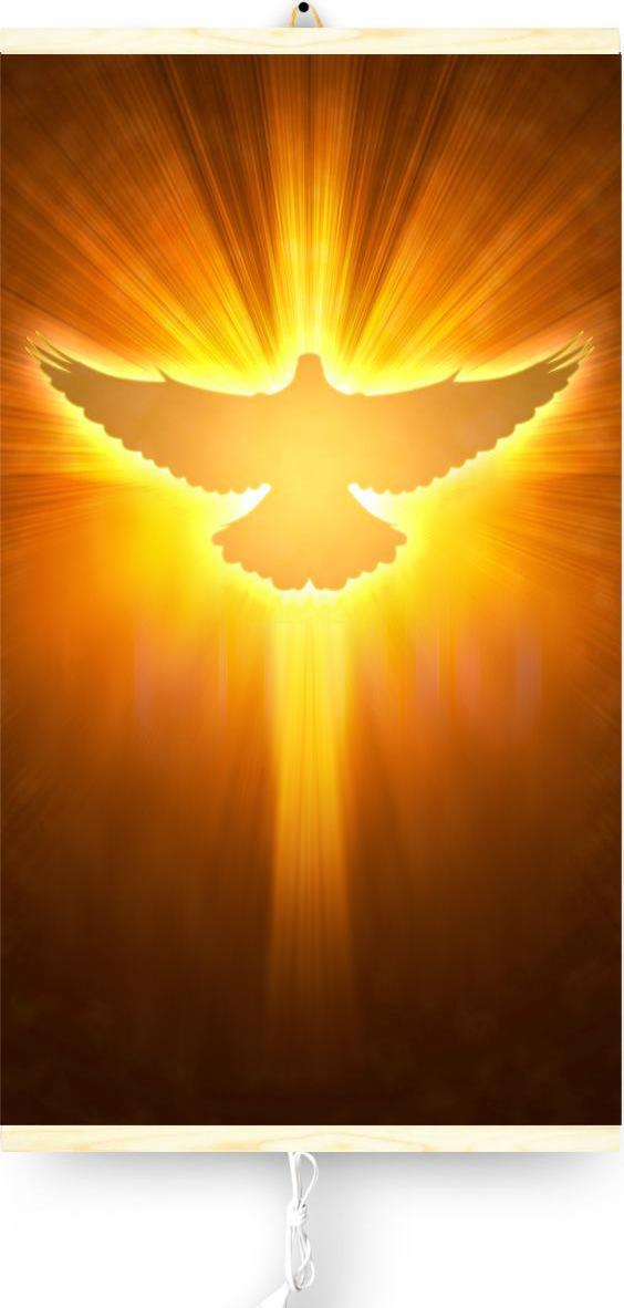 Grzejnik Trio Gołąb promiennikowy 430 W