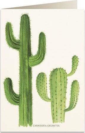 Tassotti Karnet B6 + koperta 5986 Kaktusy