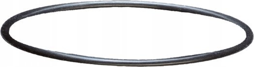 Sera Uszczelka głowicy filtra do Fil 130, 130 + UV