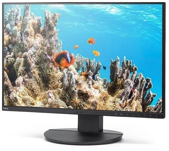 Monitor Sharp Monitor MultiSync DD-EA242W 24.1 cala czarny
