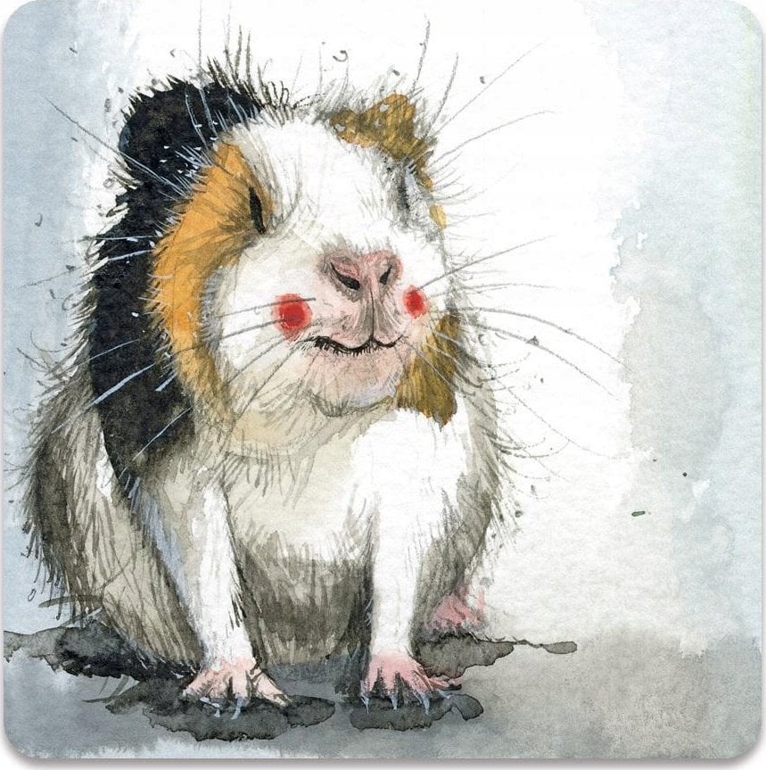 Teka Magnes FM248 ¦winka morska