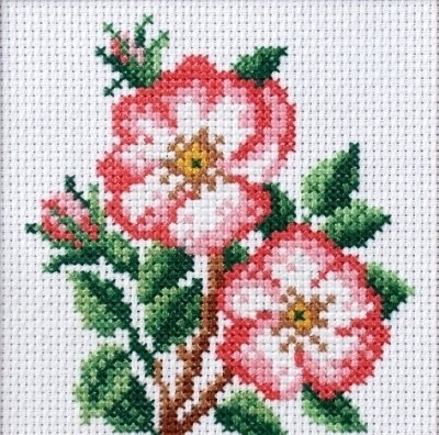 Haft krzyżykowy - Dzika róża