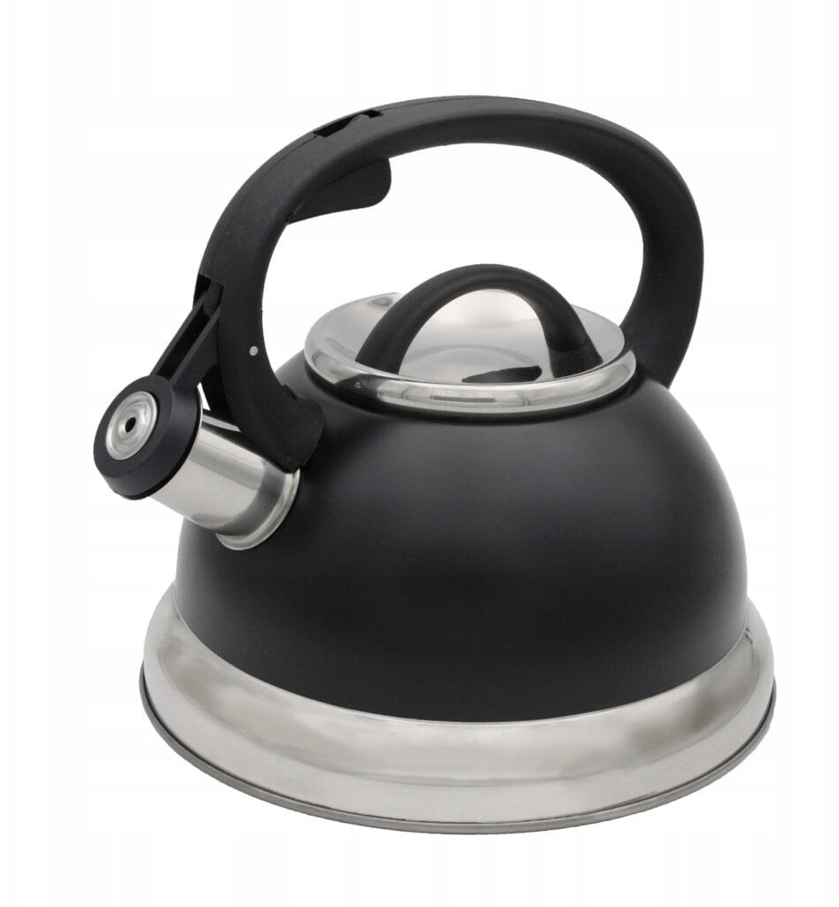 Brunbeste Czajnik stalowy z gwizdkiem tradycyjny na indukcję gazowy czarny 2.5L