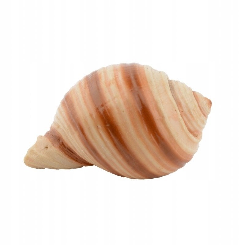 Terra Natura Aqua Natura Dekoracja akwarystyczna muszka gładki 7cm