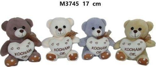 Miś z sercem 17cm MIX