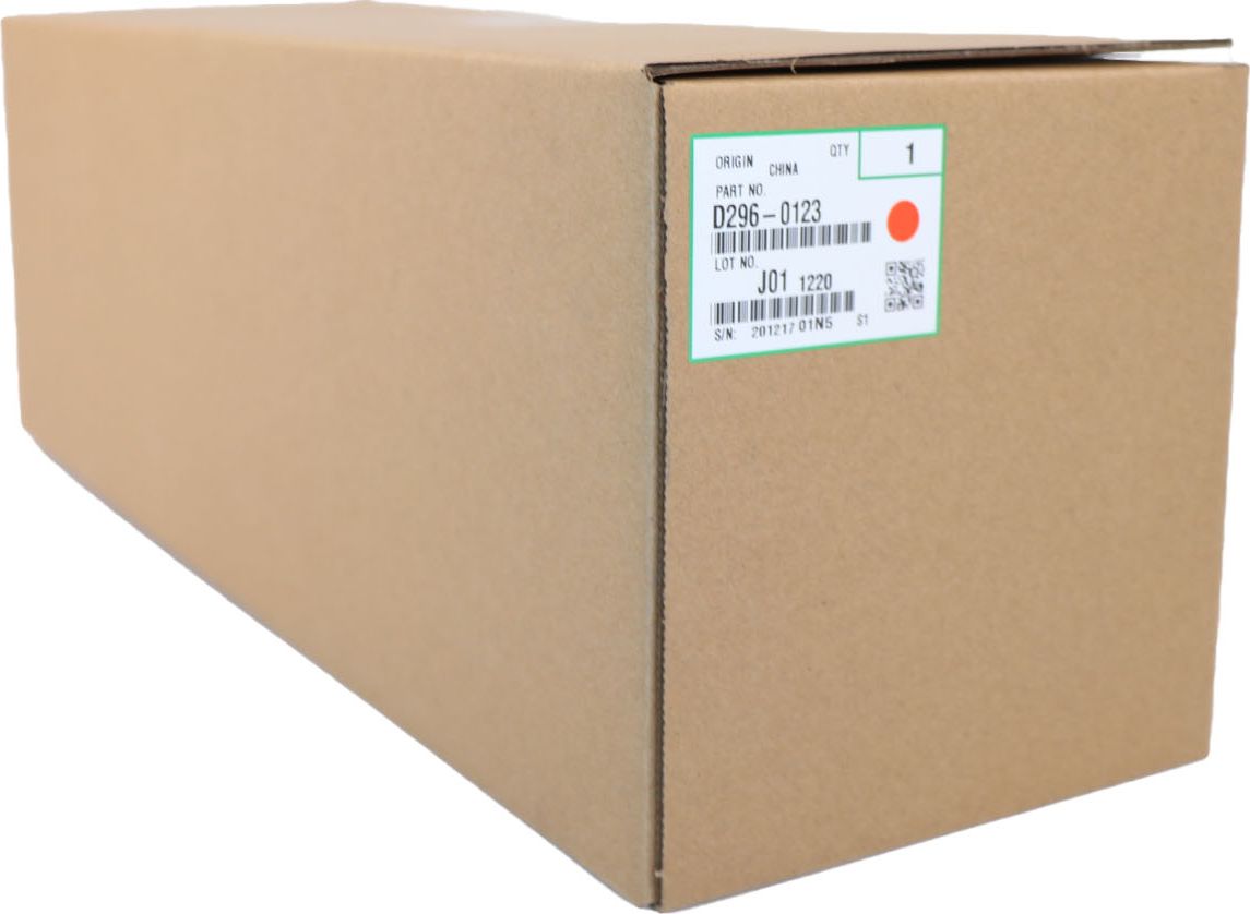 Ricoh Bęben (D2960123)