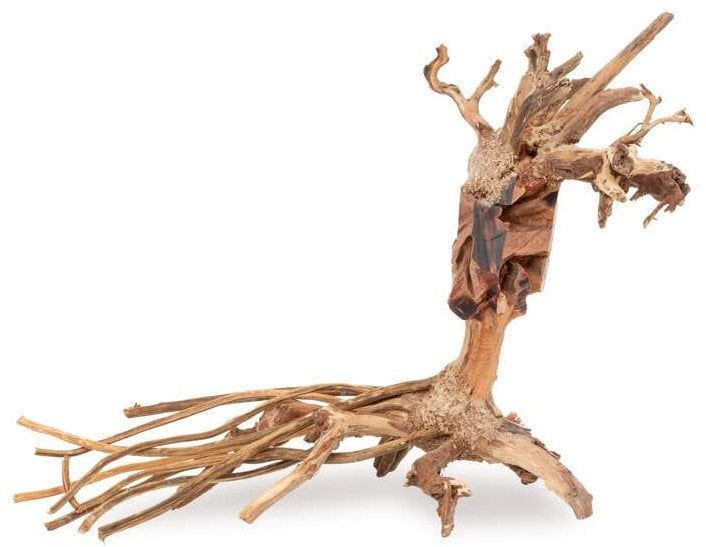 Ton�ce drzewo Bonsai nr 14 25x20