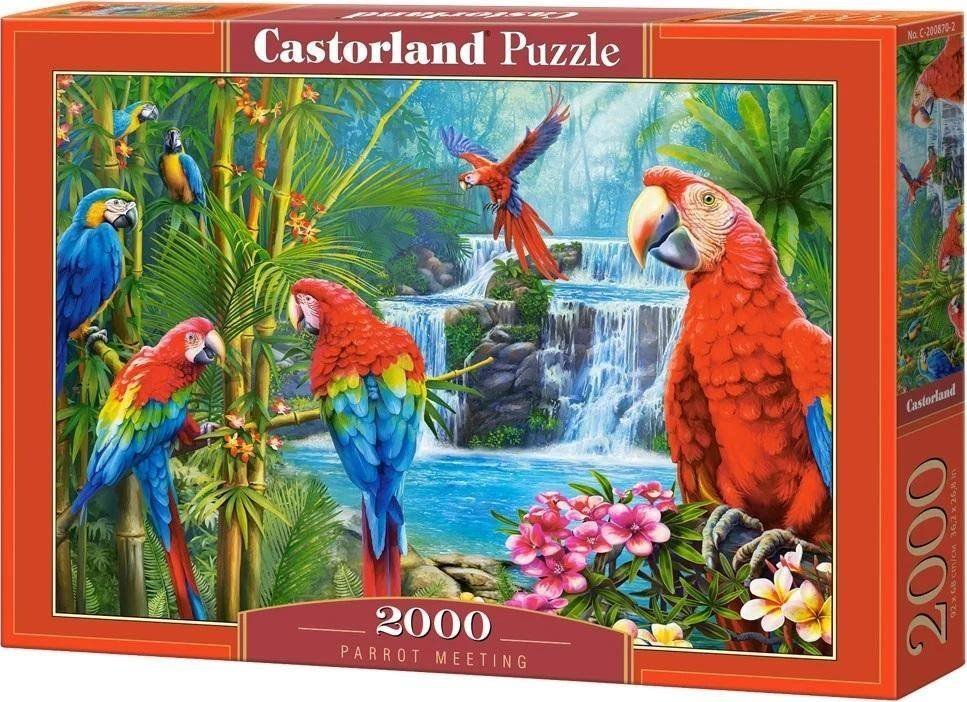 Castorland Puzzle Parrot Meeting 2000 elementów
