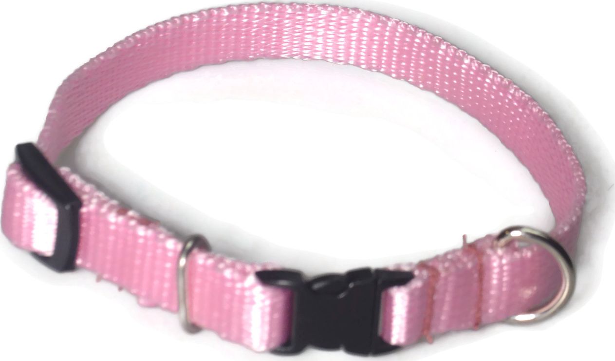 Alizoo Obroża dla małego psa 13mm/21-36cm - ALIZOO