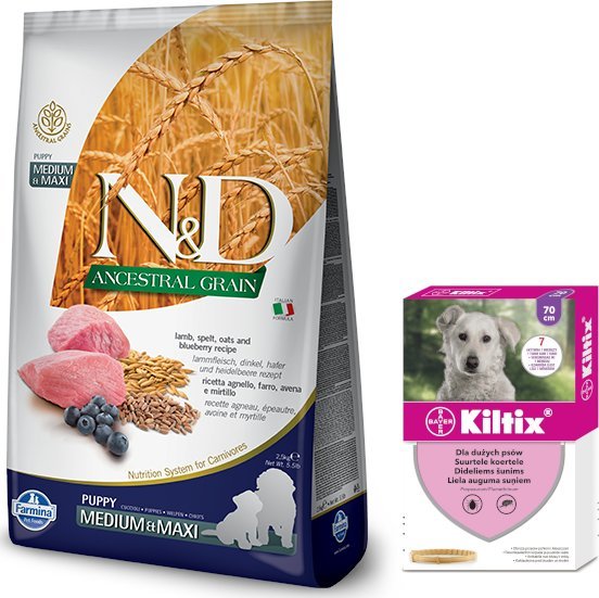 Farmina N&D Ancestral Grain canine LAMB & BLUEBERRY PUPPY MEDIUM & MAXI 12 kg + BAYER Kiltix Obroża dla psów dużych dł, 70cm