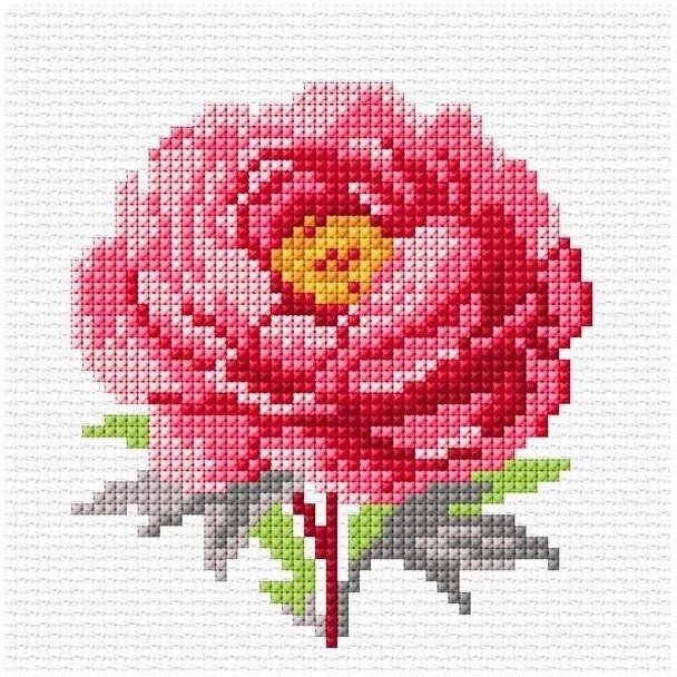 Haft krzyżykowy - Róża EDUKAMP