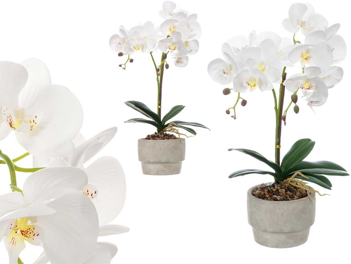 Ibergarden Sztuczny storczyk w doniczce z cementu ORCHI, 49 cm