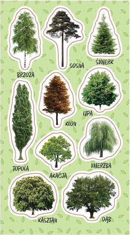 Ranok Naklejki Drzewa