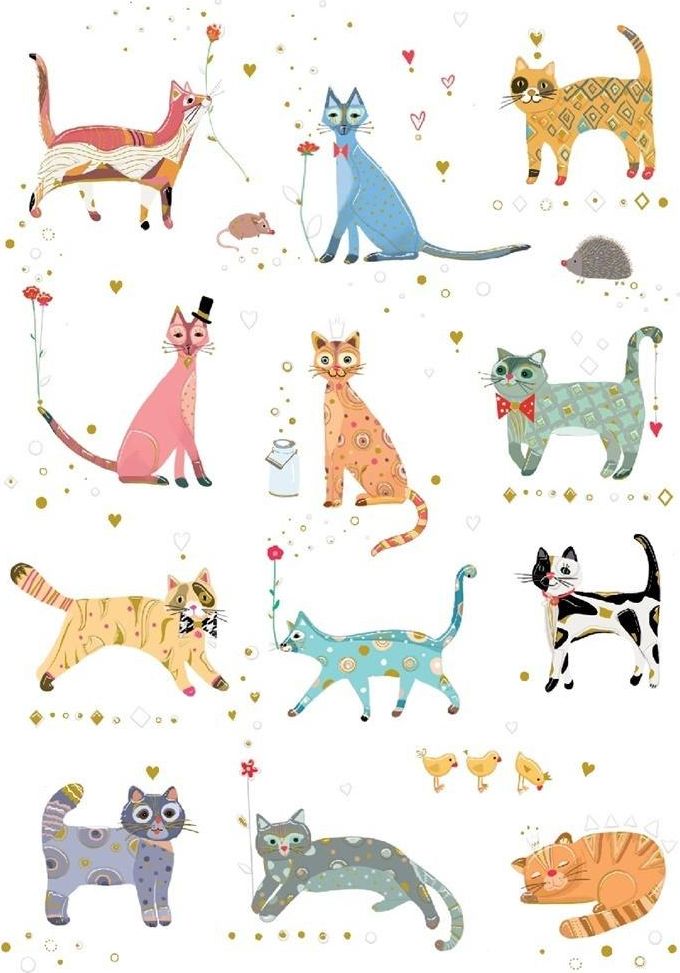 Turnowsky Karnet B6 + koperta Kotki