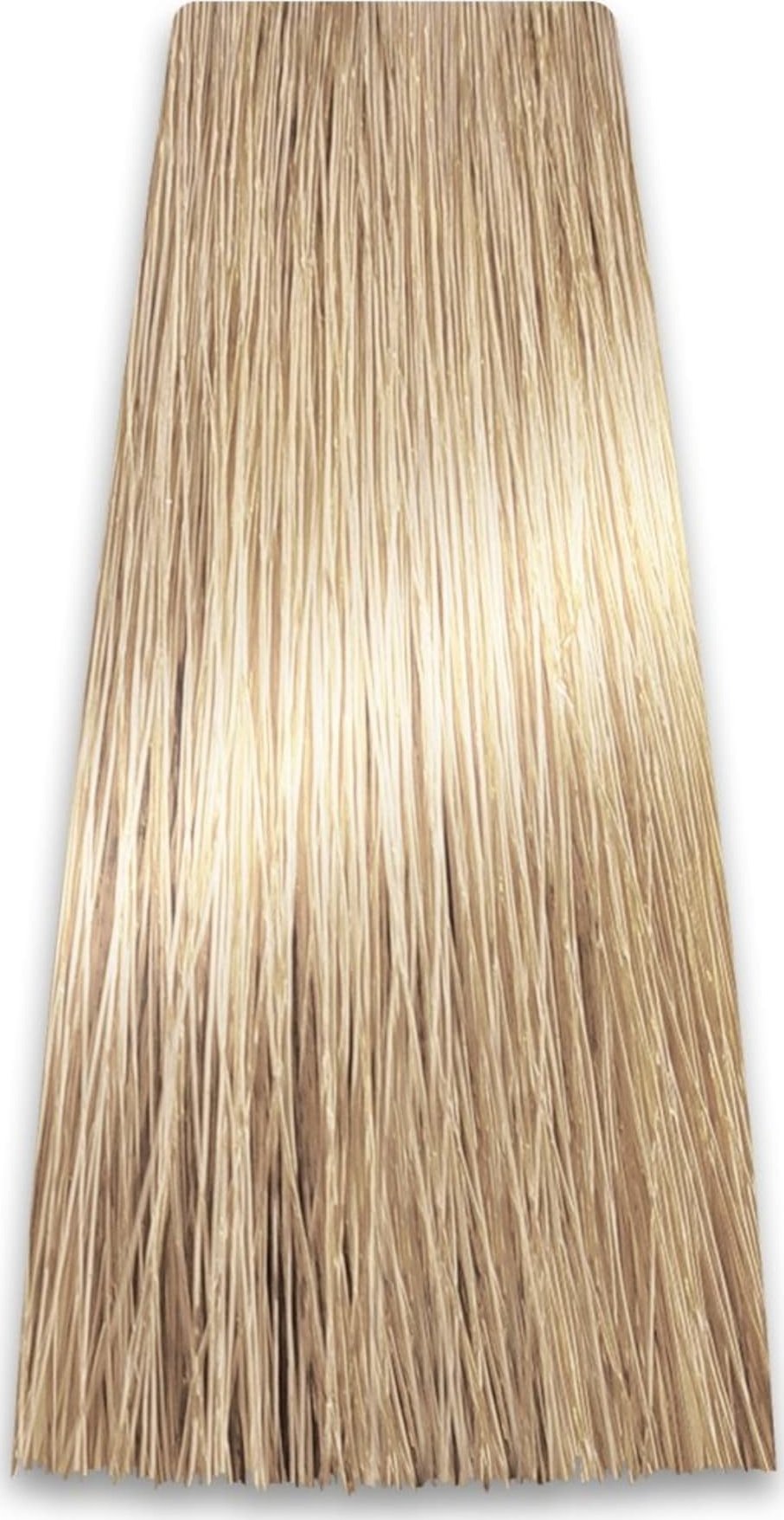 Chantal PROSALON PROFESSIONAL Intensis Color Art Profesjonalna Farba do włosów nr 10.0 bardzo jasny blond 100g