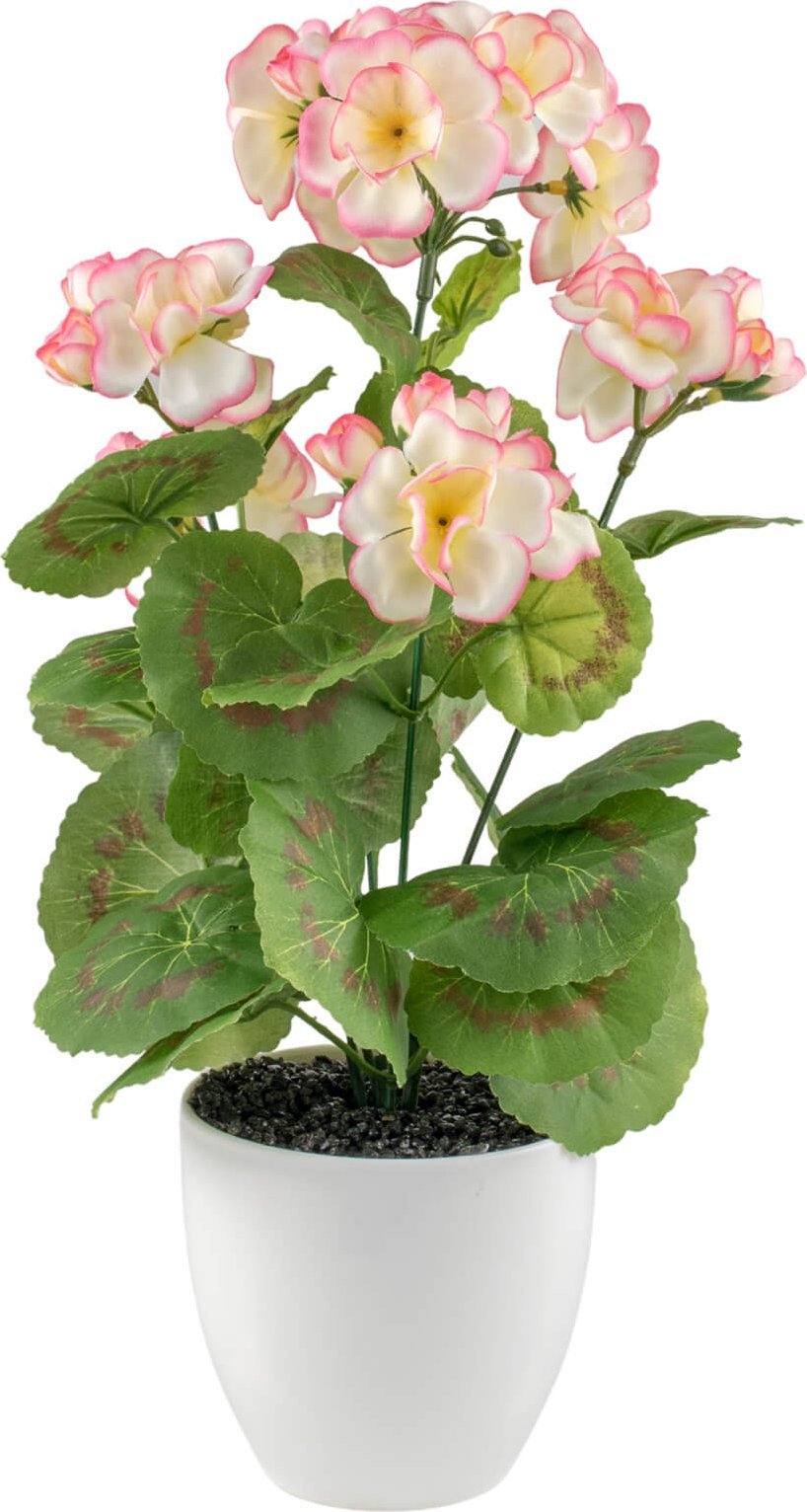 Direct Home and Garden Pelargonia sztuczna biała 34 cm