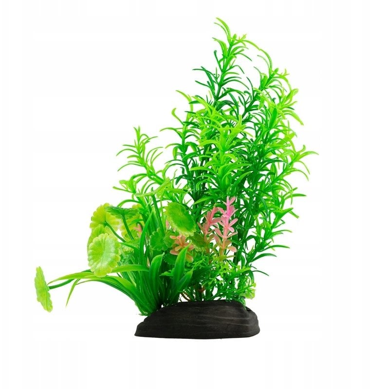Aqua Natura, roślina, do dekoracji akwarium, zielona, plastikowa, 20 cm , paprotka i młode pędy