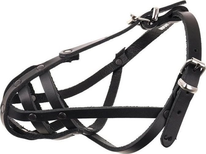 Dino Kaganiec Dla Psa Skórzany Nitowany 3 Ratlerek