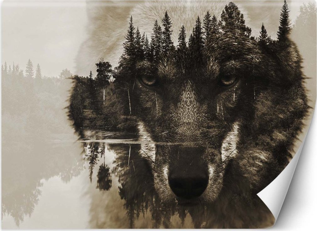 Feeby Fototapeta, Wilk las we mgle jezioro - 450x315