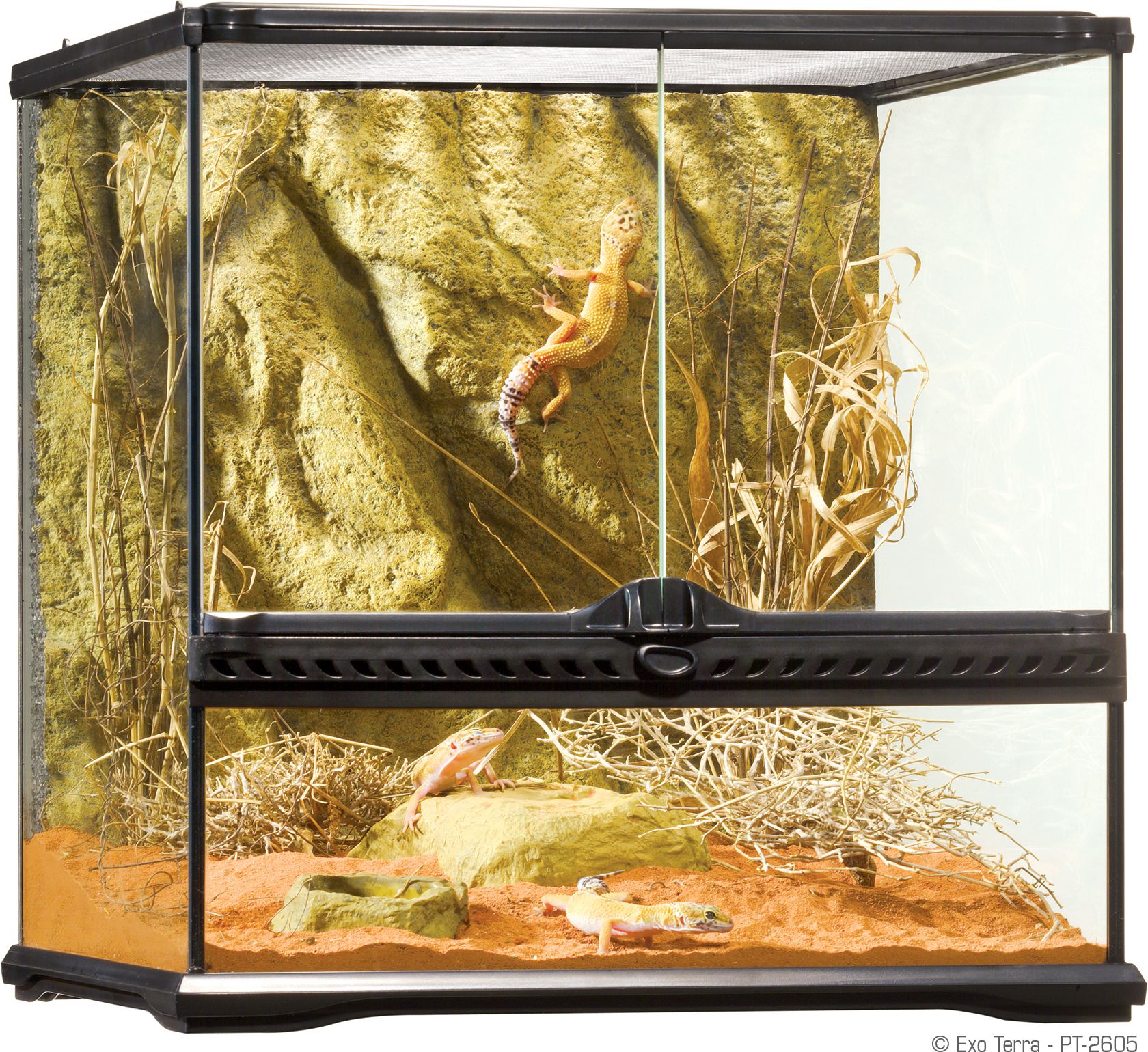 Hagen EXOTERRA TERRARIUM SZKLANE 45x45x45