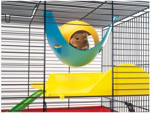 Savic DOMEK DLA CHOMIKA SPUTNIK