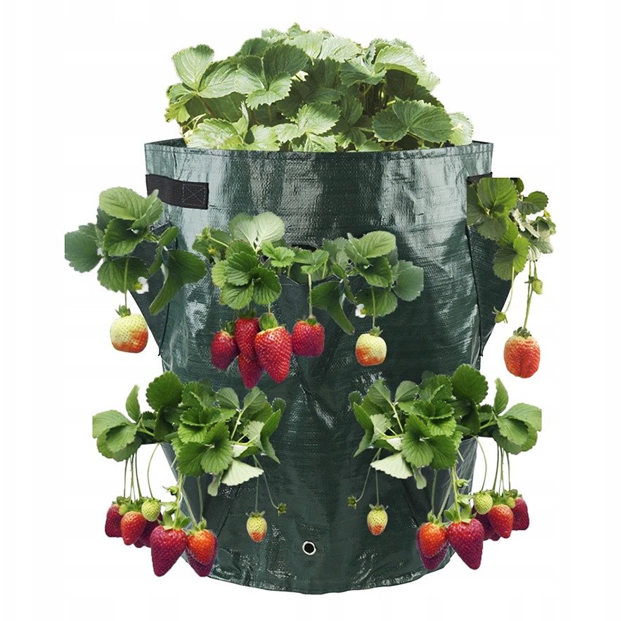 Doniczka KASKADA Worek na WARZYWA WISZĄCA TRUSKAWKI POZIOMKI KIESZENIE 35cm